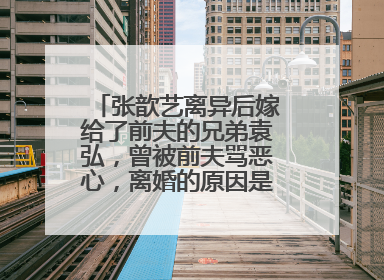 张歆艺离异后嫁给了前夫的兄弟袁弘，曾被前夫骂恶心，离婚的原因是什么？