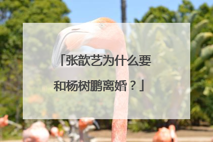 张歆艺为什么要和杨树鹏离婚？