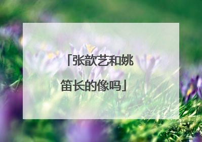 张歆艺和姚笛长的像吗