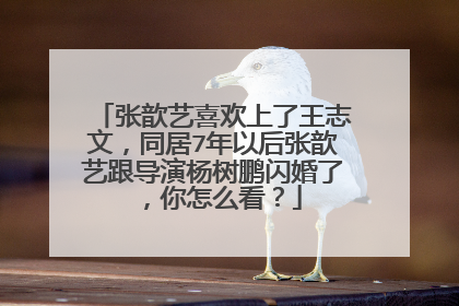 张歆艺喜欢上了王志文，同居7年以后张歆艺跟导演杨树鹏闪婚了，你怎么看？