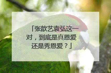 张歆艺袁弘这一对，到底是真恩爱还是秀恩爱？