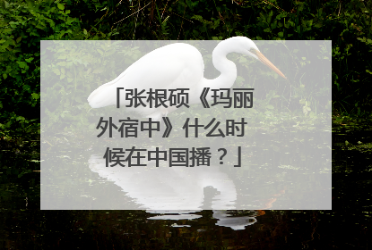 张根硕《玛丽外宿中》什么时候在中国播？