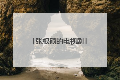 张根硕的电视剧