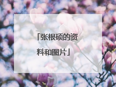 张根硕的资料和图片