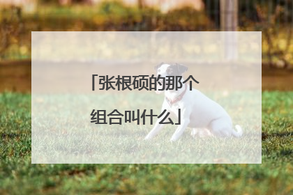 张根硕的那个组合叫什么