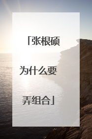 张根硕为什么要弄组合