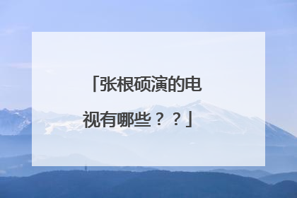 张根硕演的电视有哪些？？