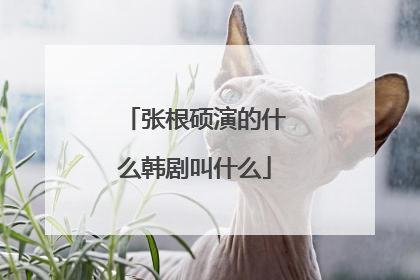 张根硕演的什么韩剧叫什么