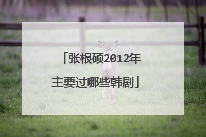 张根硕2012年主要过哪些韩剧