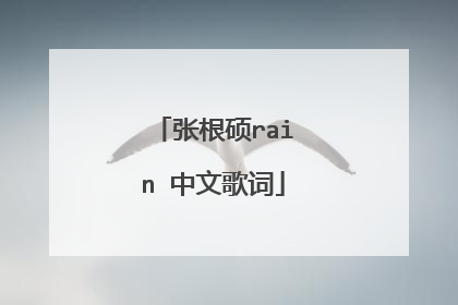 张根硕rain 中文歌词