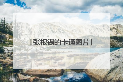 张根锡的卡通图片