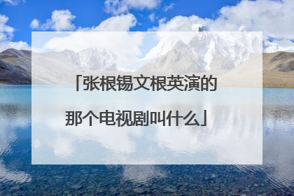张根锡文根英演的那个电视剧叫什么
