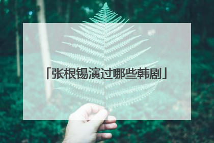 张根锡演过哪些韩剧