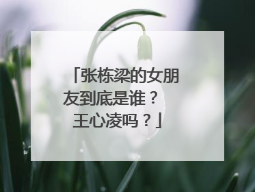 张栋梁的女朋友到底是谁？ 王心凌吗？