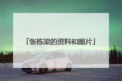 张栋梁的资料和图片