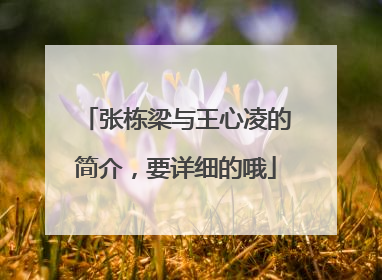 张栋梁与王心凌的简介，要详细的哦