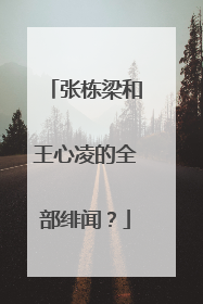 张栋梁和王心凌的全部绯闻？