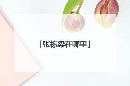 张栋梁在哪里