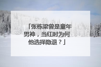 张栋梁曾是童年男神，当红时为何他选择隐退？