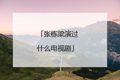 张栋梁演过什么电视剧