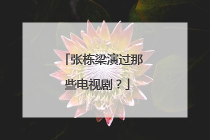 张栋梁演过那些电视剧？
