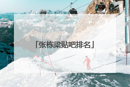 张栋梁贴吧排名