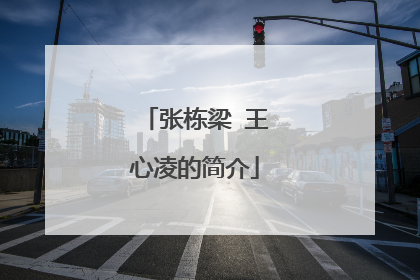 张栋梁 王心凌的简介