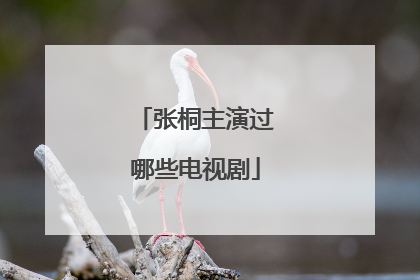 张桐主演过哪些电视剧