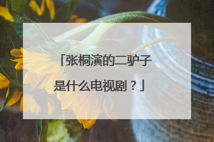 张桐演的二驴子是什么电视剧?