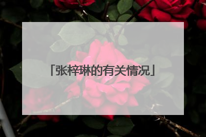 张梓琳的有关情况