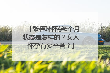 张梓琳怀孕6个月状态是怎样的?女人怀孕有多辛苦?