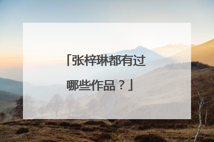 张梓琳都有过哪些作品？