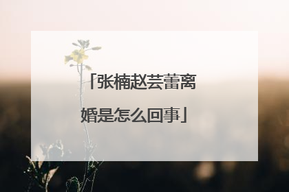 张楠赵芸蕾离婚是怎么回事