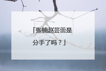张楠赵芸蕾是分手了吗？