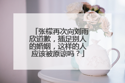 张檬再次向刘雨欣道歉，插足别人的婚姻，这样的人应该被原谅吗？