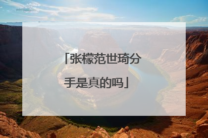 张檬范世琦分手是真的吗