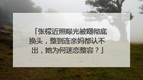 张檬近照曝光被嘲彻底换头,整到连亲妈都认不出,她为何迷恋整容?