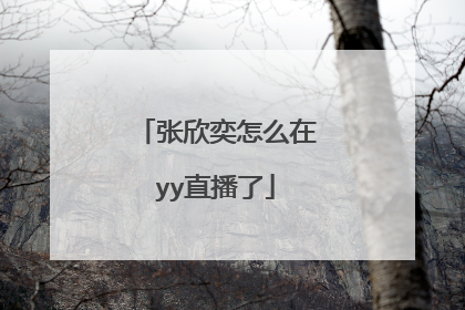 张欣奕怎么在yy直播了