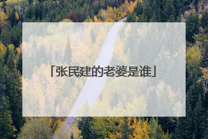 张民建的老婆是谁