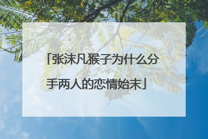 张沫凡猴子为什么分手两人的恋情始末