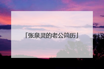 张泉灵的老公简历