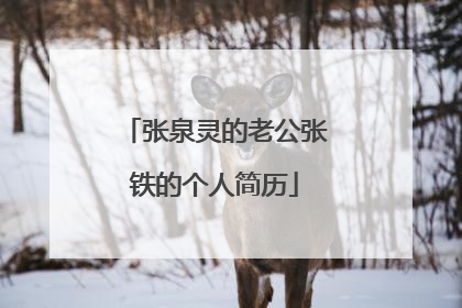 张泉灵的老公张铁的个人简历