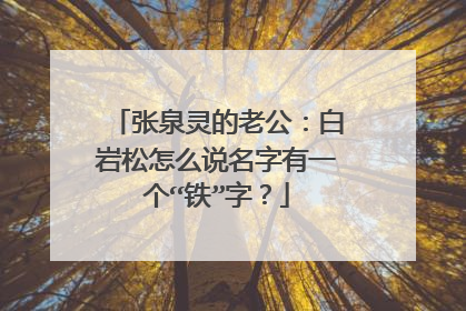张泉灵的老公:白岩松怎么说名字有一个“铁”字?
