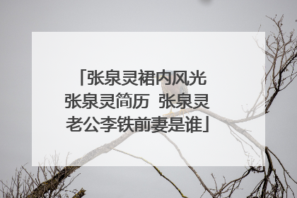 张泉灵裙内风光 张泉灵简历 张泉灵老公李铁前妻是谁