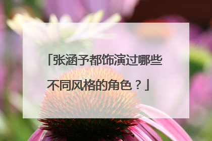 张涵予都饰演过哪些不同风格的角色？