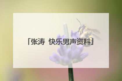 张涛 快乐男声资料