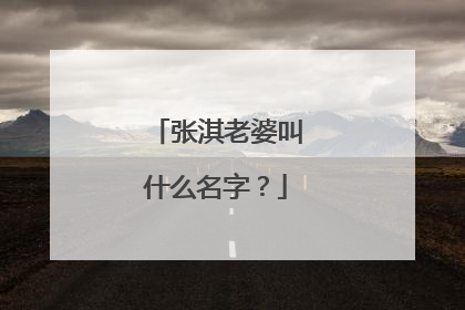 张淇老婆叫什么名字？