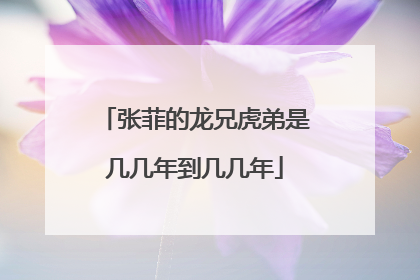 张菲的龙兄虎弟是几几年到几几年