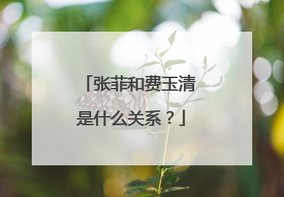 张菲和费玉清是什么关系?