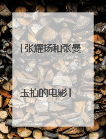 张耀扬和张曼玉拍的电影